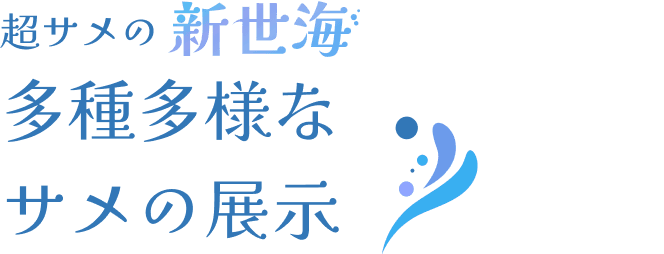 超サメの新世海 多種多様なサメの展示