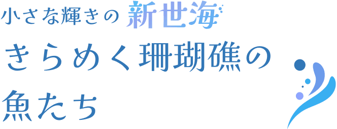 小さな輝きの新世海 きらめく珊瑚礁の魚たち